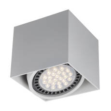 Zuma Line ACGU10-114 BOX1 oprawa oświetleniowa biały 1xGU10/ES111 50W 13,2cm