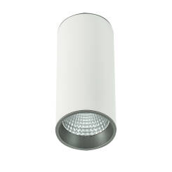 Italux oprawa natynkowa Moldes Big Ceiling 3000K SLC7392/12W WH+GR LED