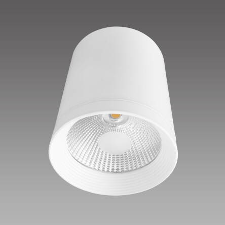 Light Prestige Zovo 1 LP-32015/1SM WH oprawa stropowa natynkowa biała metal tuba LED 15W 15,5cm