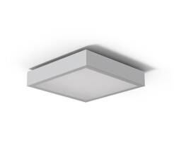 Cleoni plafon Nekla 40 srebrny mat 1152P1101  WM